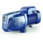JSWm 3BH - 2 HP single-phase self-priming electric pump