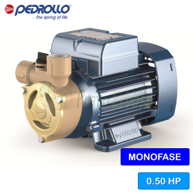 PQAm 60 eléctrico de la Bomba con impulsor dispositivo de una sola fase Pedrollo - 1