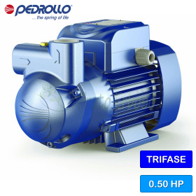 CK 50 - 0.50 HP three-phase self-priming liquid ring electric pump