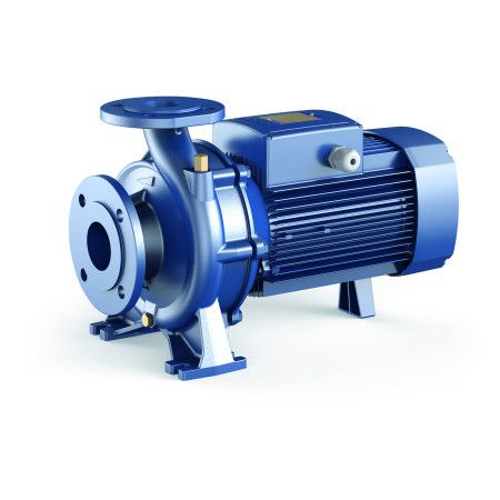 F 40/125A - centrifugal electric Pump of the normalized three-phase Pedrollo - 1