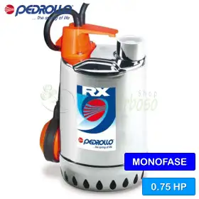 Pompe à eau claire monophasée RXm 3 (5 m) - 0,75 CV