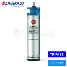 6PD/12.5 - Motore riavvolgibile 6" da 12.5 HP trifase Pedrollo - 1