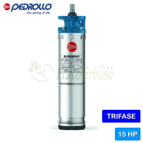 6PD/15 - Motor trifazat rebobinabil de 6" 15 CP