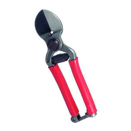 Sichel 21 - Scissor for pruning, double-edged Vigor - 1