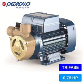 PQA 72 Pompe électrique avec l'hélice de l'appareil, en trois phases Pedrollo - 1