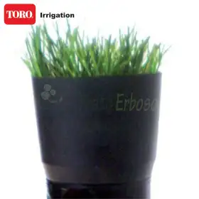 Pălărie de cauciuc