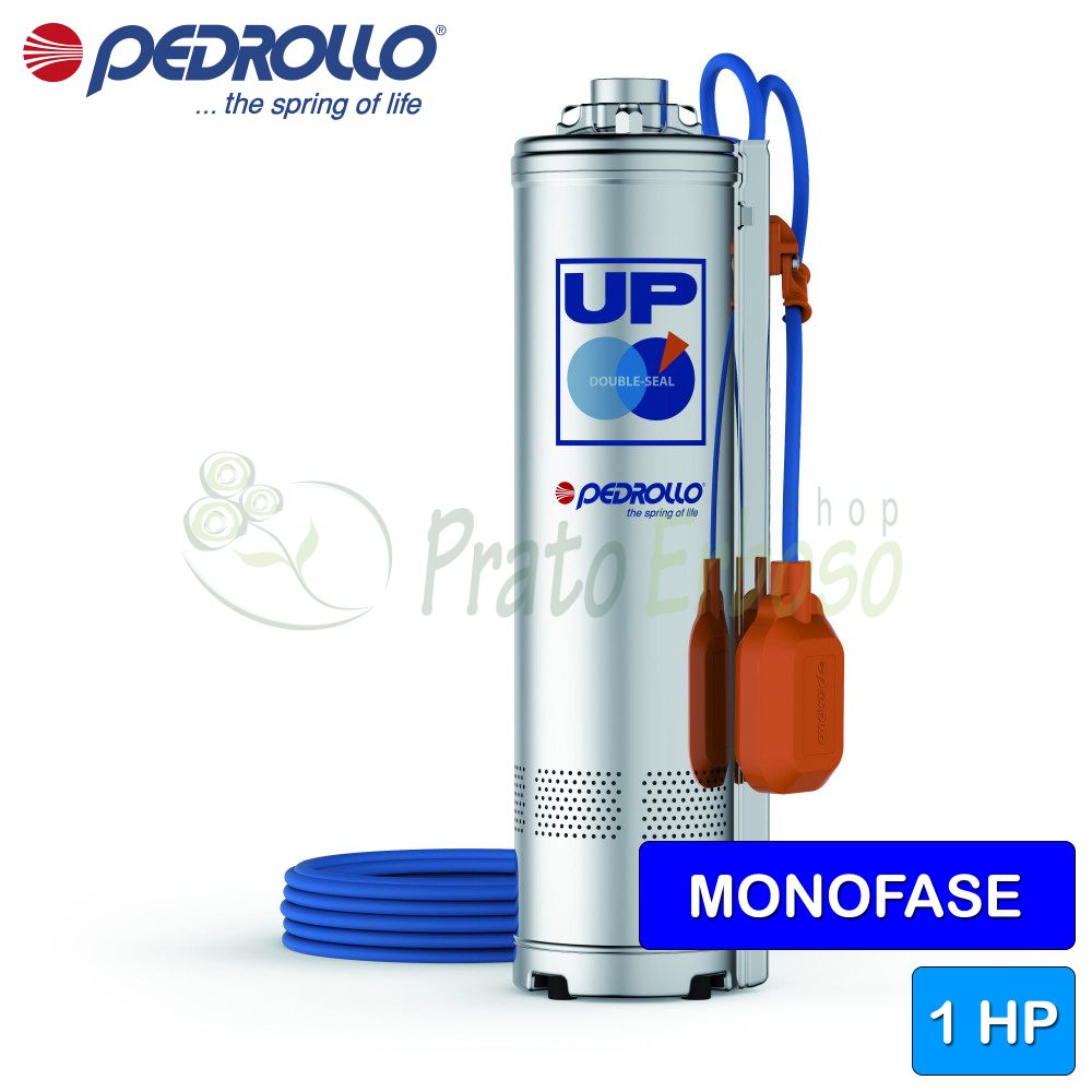 Pedrollo Pompe eau potable immergée NK 2/4 en INOX SANS flotteur