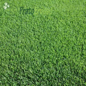 SPORTS Lawn Prato Erboso - 1