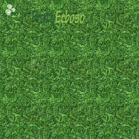 Prairie MARINE Prato Erboso - 1