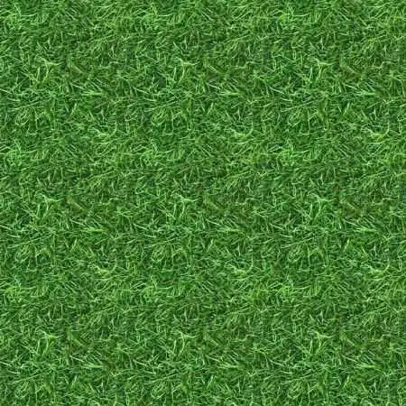 Prairie MARINE Prato Erboso - 1