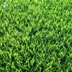 Meadow SICILY Prato Erboso - 1