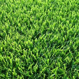 Lawn SICILY