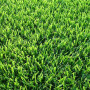 La pelouse de la SICILE Prato Erboso - 1