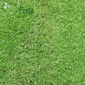 Encanto de la pradera