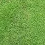 Meadow CHARM Prato Erboso - 1