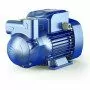 Pompe électrique à anneau liquide auto-amorçante triphasée CK 50-BP - 0,33 CV