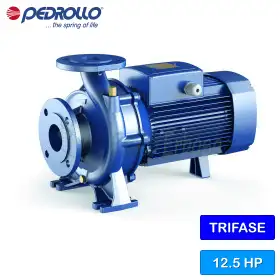 F 50/250D – 12,5 PS dreiphasige normalisierte elektrische Kreiselpumpe F 50/250D – 12,5 PS dreiphasige normalisierte elektrische Kreiselpumpe