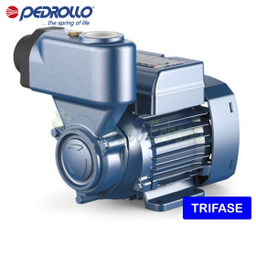 PKS 60 - Self-priming electric pump with 0.65 HP three-phase peripheral impeller Pedrollo - 1