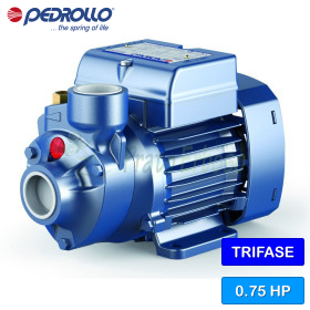 PK 65 - 0.75 HP three-phase peripheral impeller electric pump