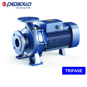 F 65/250B - 50 HP three-phase standardized centrifugal electric pump Pedrollo - 1