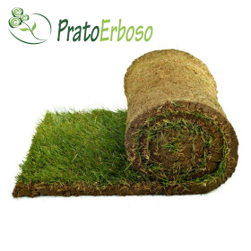 5 mètres carrés de pelouse prêts en rouleaux Prato Erboso - 1