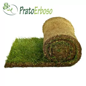 40 m2 de césped preparado en rollos Prato Erboso - 1
