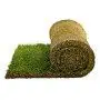 40 m2 of ready-made lawn in rolls Prato Erboso - 1