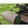 40 m2 of ready-made lawn in rolls Prato Erboso - 3