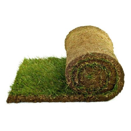 80 square meters of lawn ready in rolls