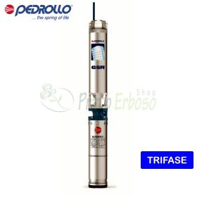 6SR12/25 - PD - submersible electric Pump three-phase 20 HP - Pedrollo