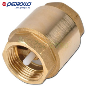 VR 2 - 2" Check Valve