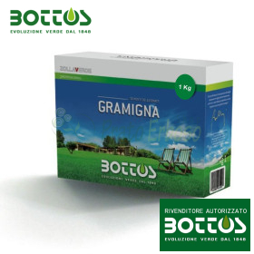 Common wheatgrass - Seeds for lawn of 1 Kg Bottos - 1