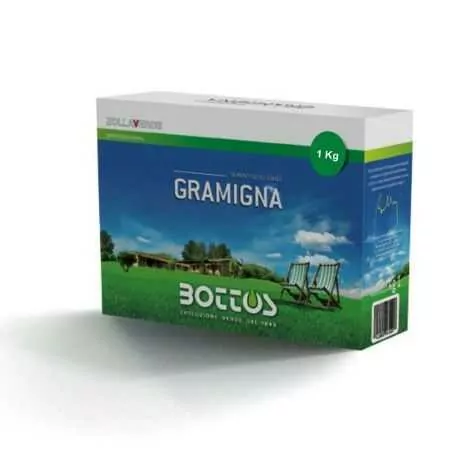 Bari i zakonshëm i shtratit - 1 kg farë lëndinë