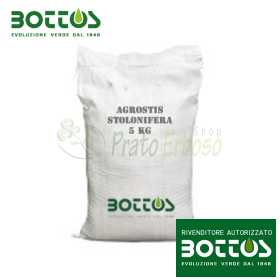 Agrostide Stolonifera Alpha - Rasensamen 1 kg Bottos - 1