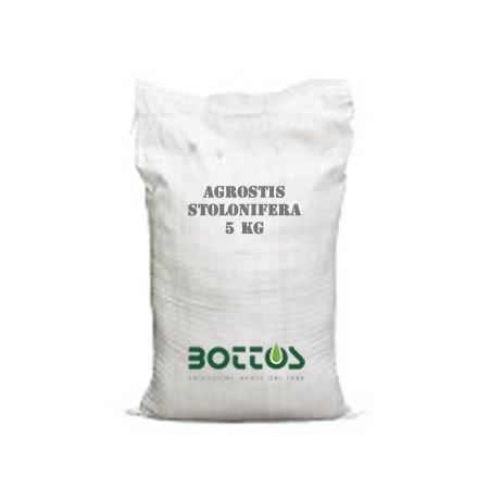 Agrostide Stolonifera Alpha - Samen für Rasen von 1 kg Bottos - 1