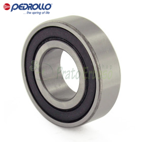 6303 2RS-C3 - Ball bearing 17x47x14 mm Pedrollo - 1