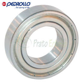 6306 ZZ-C3 - Ball bearing 30x72x19 mm Pedrollo - 1