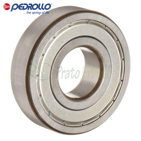 6309 ZZ-C3 - Ball bearing 45x100x25 mm Pedrollo - 1
