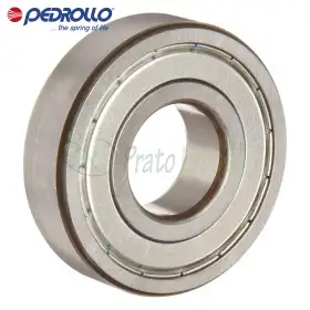 6309 ZZ-C3 - Ball bearing 45x100x25 mm Pedrollo - 1