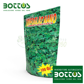 Trébol enano Repens - 100 g de semillas de césped Bottos - 1