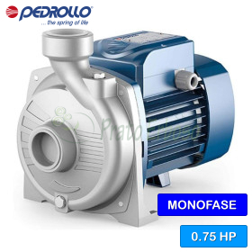 NGAm 1B-PRO - 0,75 CP electropompa monofazata cu rotor deschis Pedrollo - 1