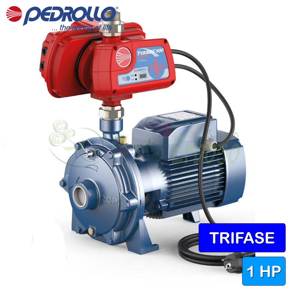 Pompa Centrifuga Pedrollo CPm 130 - 0.37KW Monofase - Acciaio Inox - Portata 80 Lt/min - Prevalenza 22m - Foto 2