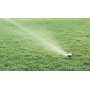 Maxi Paw - Impact sprinkler 13.7 m throw