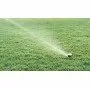 Maxi Paw - Irrigatore battente gittata 13.7 m Rain Bird - 2