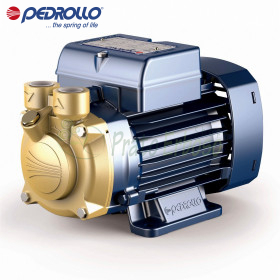 PVm 55 - electric Pump, impeller device, single-phase - Pedrollo