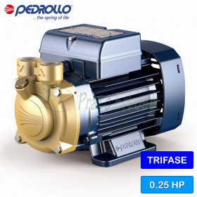 PV 55 - 0.25 HP three-phase peripheral impeller electric pump