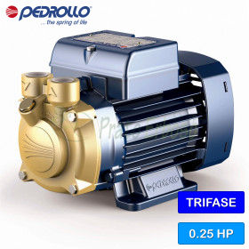 PV 55 - electric Pump, impeller device, three-phase - Pedrollo