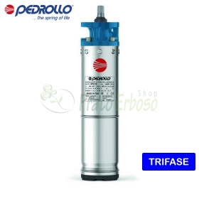 6PD/50 - Motor trifazat rebobinabil de 6" 50 CP