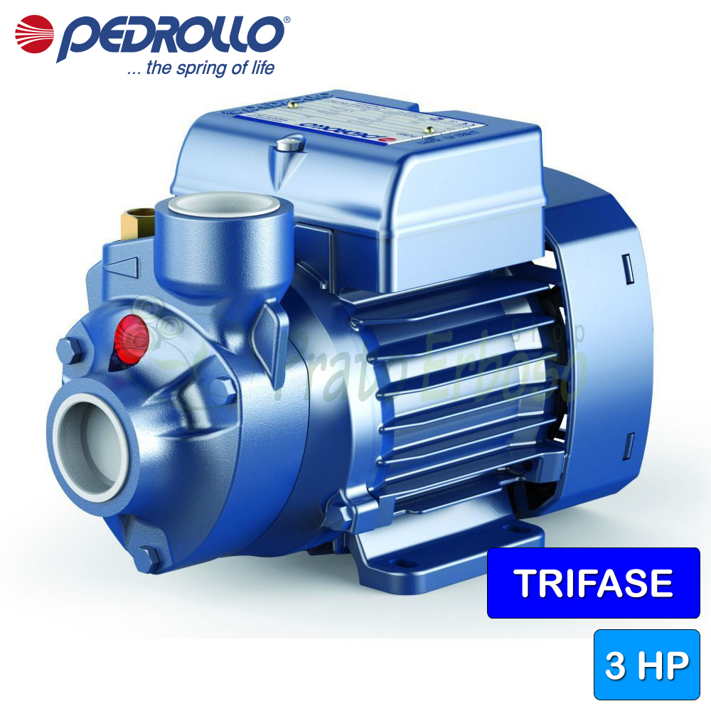 PKm 200 - 2 HP single-phase peripheral impeller electric pump