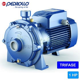 2CP 25/130N - Electrobomba centrífuga de doble turbina trifásica de 1 HP